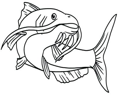 400x322 Catfish Coloring Page Bluegill Coloring Pages Catfish For Kids