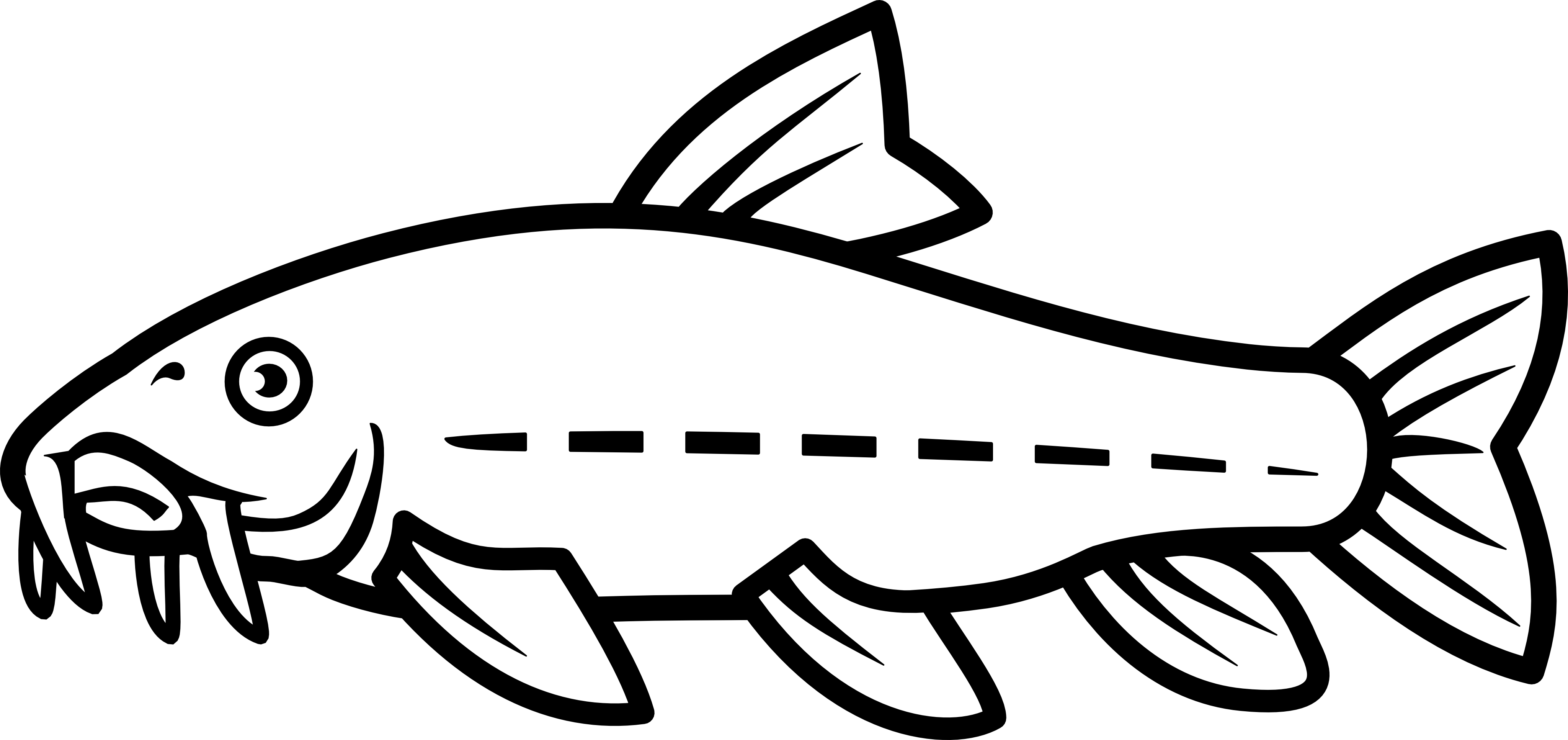 4096x1932 Catfish Vector By Nico E