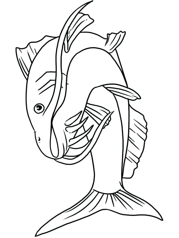 750x1000 Catfish Coloring Page Big Grin Colouring Book Pages