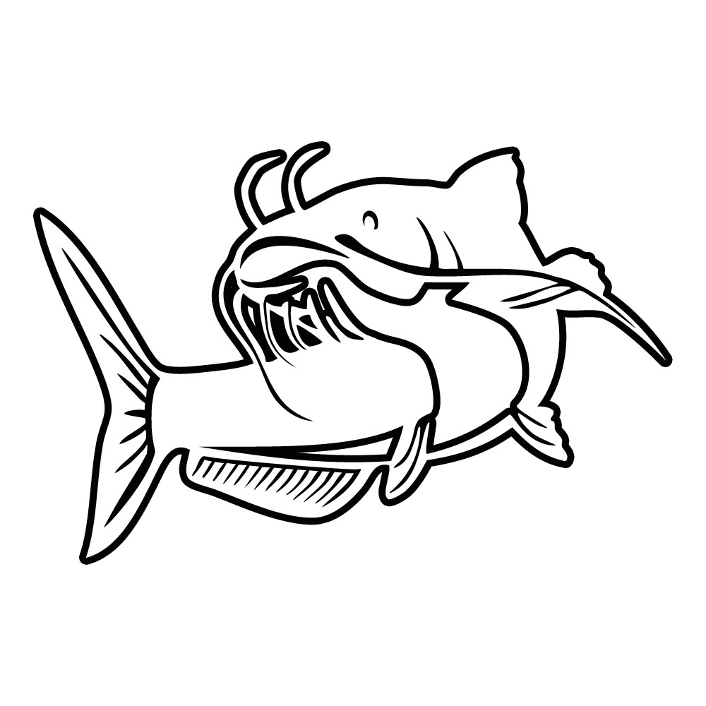 1000x1000 Catfish Decal Vinyl Sticker (Light Colors) Ebay