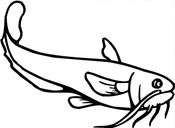 Catfish Line Drawing at GetDrawings | Free download