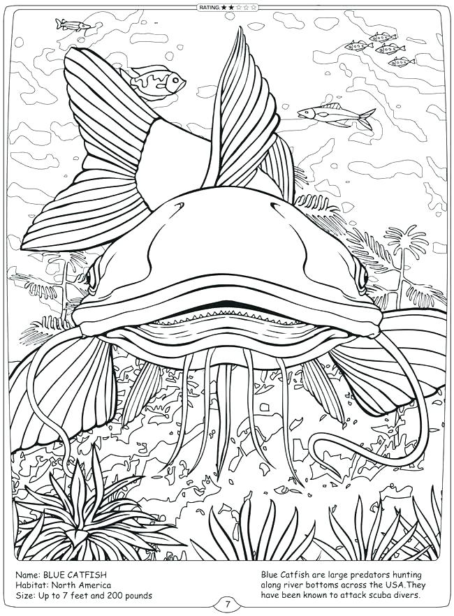 650x882 Freshwater Fish Coloring Pages Cute Fish Coloring Pages Best Free