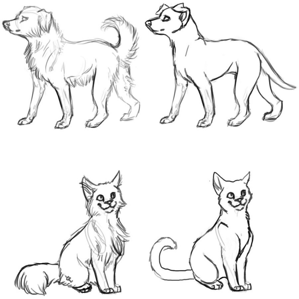 1024x1024 Cats And Dogs Drawings Dogs And Cats Wip Mauston Girl