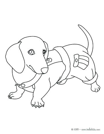 364x470 Dogs And Cats Coloring Pages Color Pages Of Dogs Dachshund Puppy