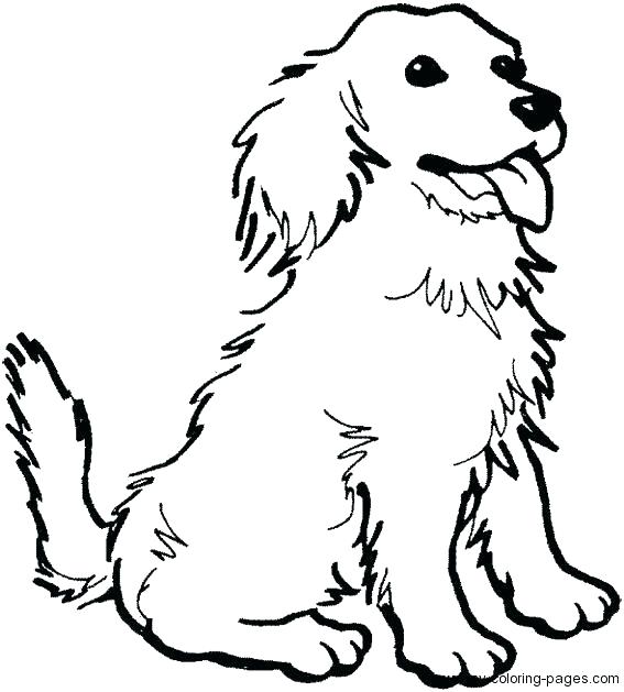 567x629 Elegant Cats And Dogs Coloring Pages Image