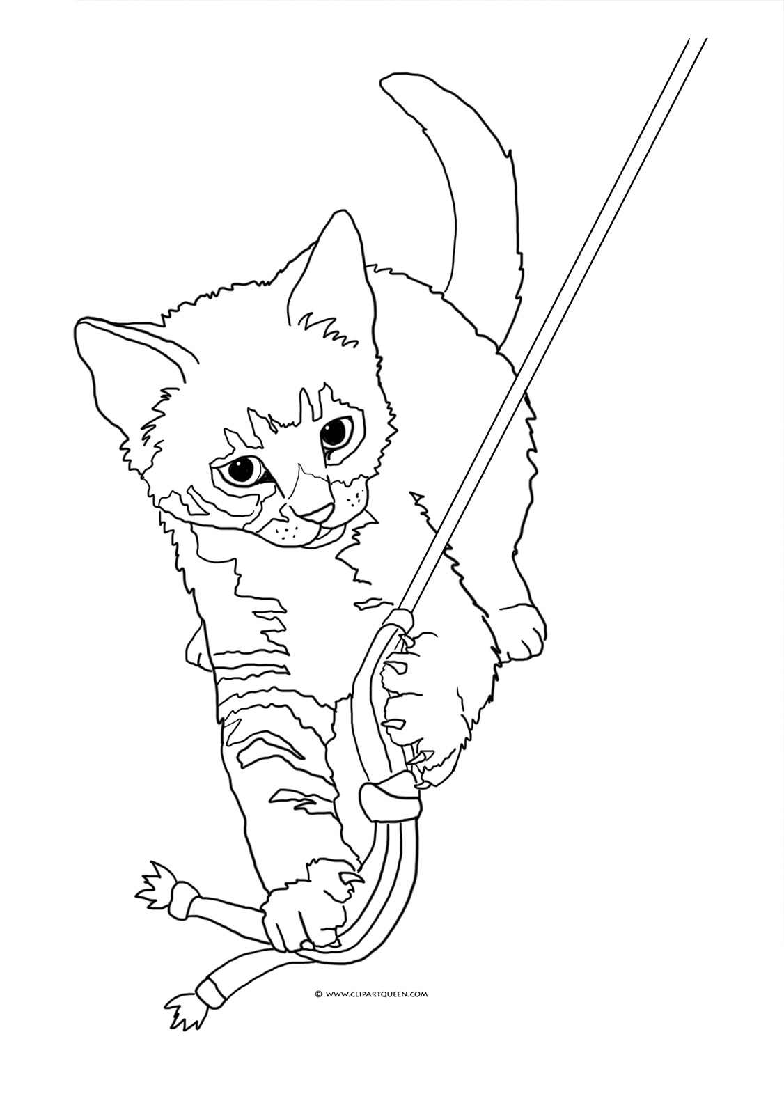 1126x1594 Cat Coloring Pages