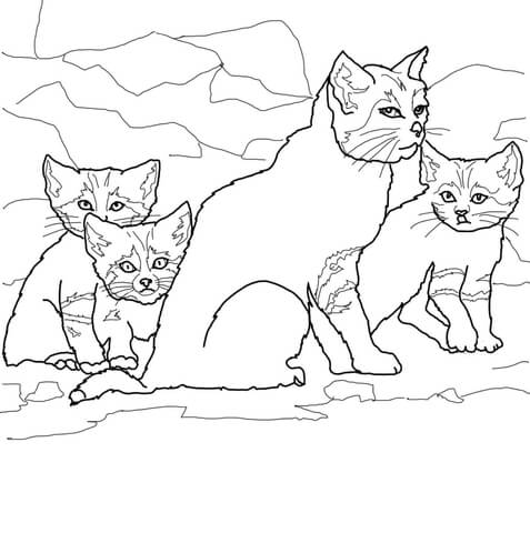 477x480 Sand Cat Kittens With Mother Coloring Page Free Printable