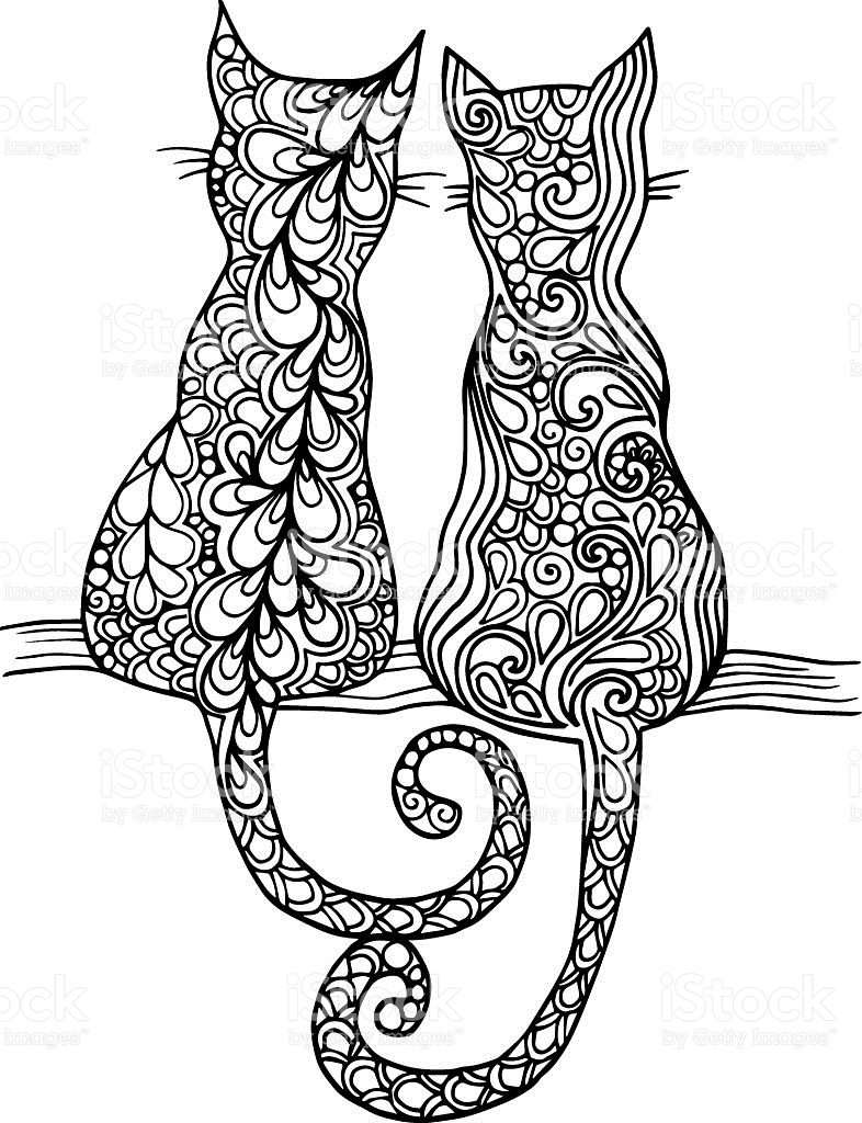 786x1024 Drawn Cat Abstract