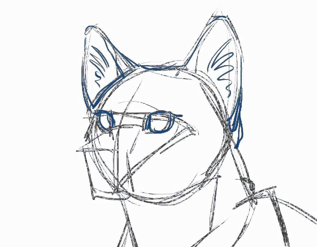 1024x800 Drawn Feline Warrior