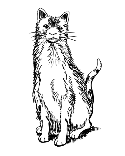 400x499 How To Draw A Realistic Cat Sketchbook Challenge 9