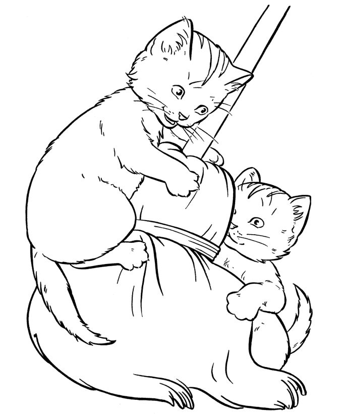 670x820 Realistic Cat Coloring Pages