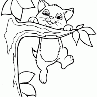 320x320 Tag For Cute Kitten Coloring Pages For Kids Cute Cat Coloring