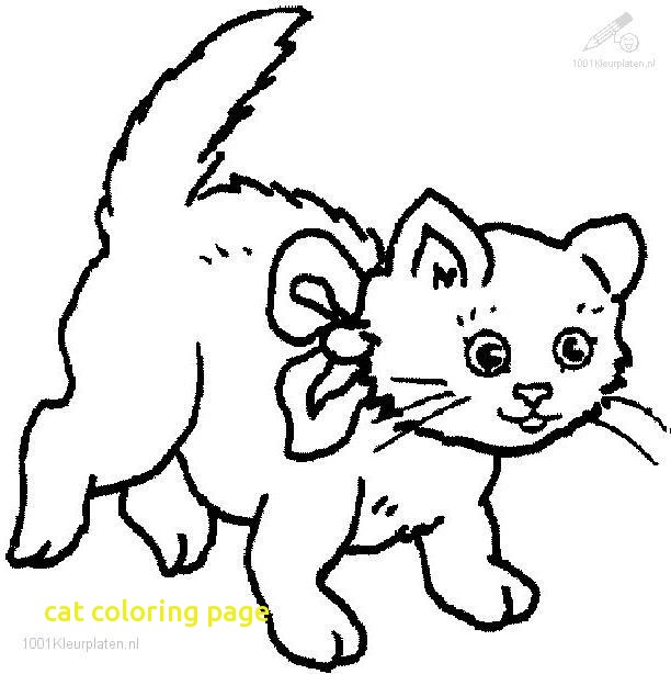 612x614 Cat Coloring Page With How To Draw Cat Coloring Pages Youtube
