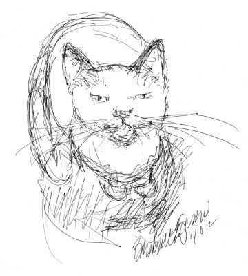 360x400 Daily Sketch Bedroom Eyes Cat Eyes Bedroom Eyes