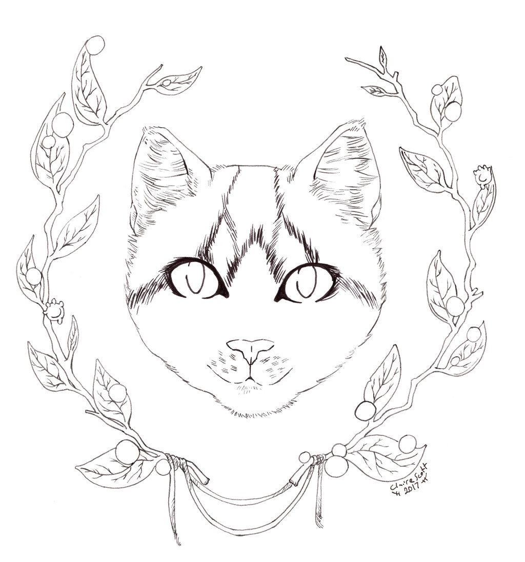 1024x1096 Marvelous Drawing Anime Step By Coloring To Image Of Cat Page