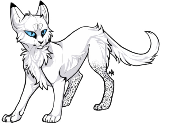 600x400 Warriors (Cats) Rp