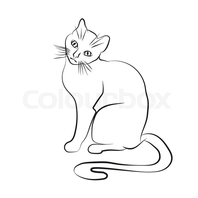 800x800 Cat Face. Black And White Sketch. Vector Illustration Stock