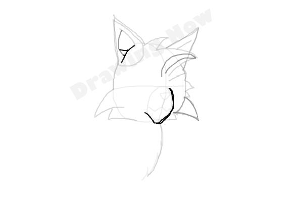 600x400 How To Draw Graystripe From Warrior Cats