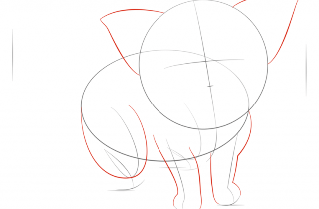 640x420 Tag For Cat Draw Shape Shape Collagethe Hectic Life Of A Fluffy