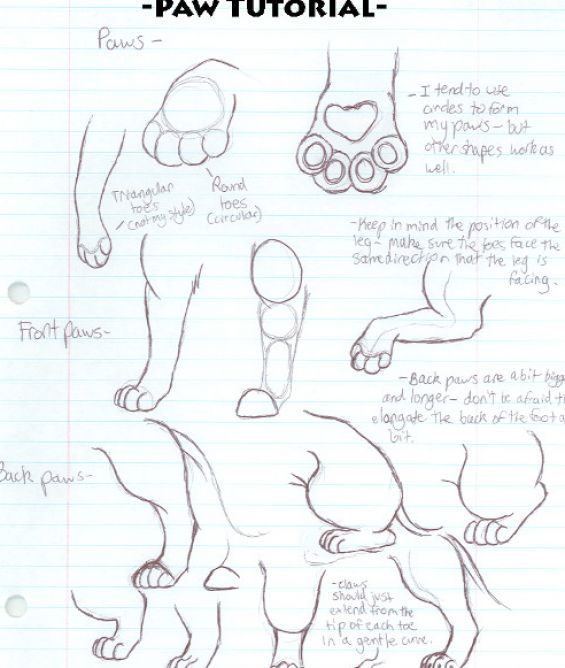 565x668 Cat Paw Drawing Free Clip Arts Sanyangfrp