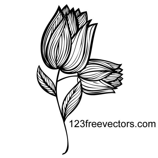 660x660 Cattail Plant Vector Image