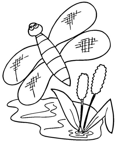 393x480 Cattails And Dragonfly Coloring Page Free Printable Coloring Pages