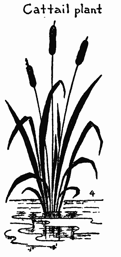 411x870 Drawing For Kids Step By Step