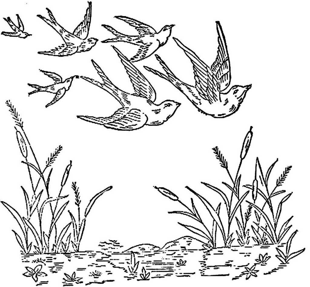 1024x948 1886 Ingalls Cattails And Flock Of Birds This Image Came