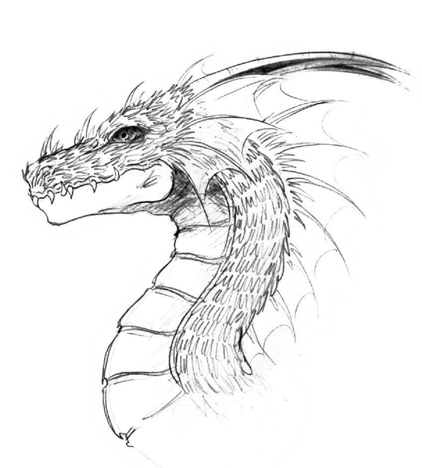 849x942 Dragon Head By Lastwarrior14