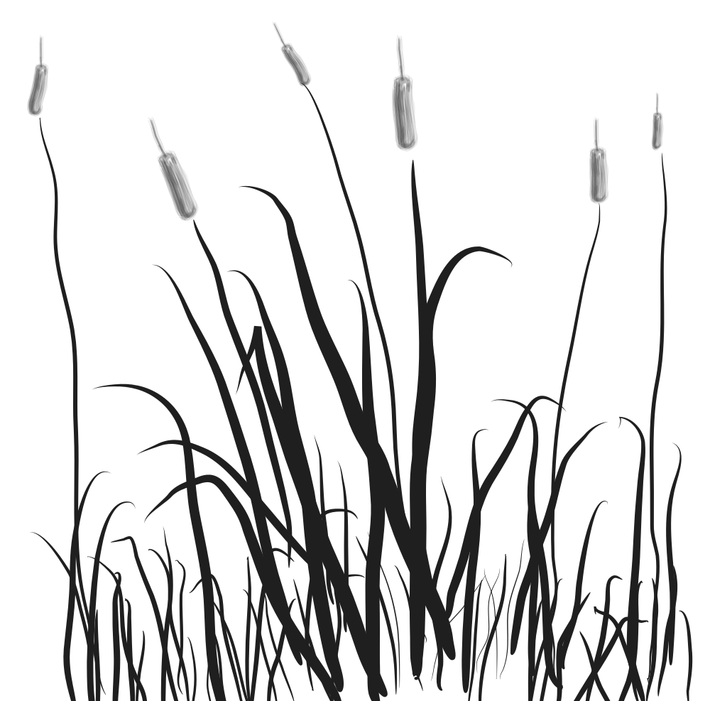 1000x987 Onlinelabels Clip Art