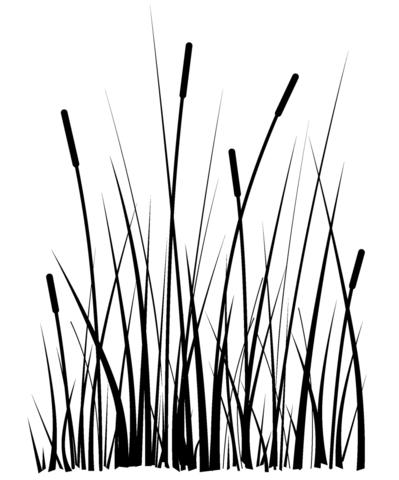 399x480 Rubber Soul Large Cattails