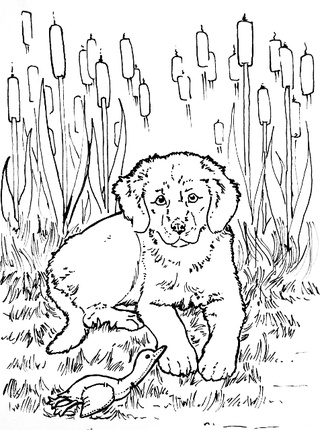 320x430 Cattails Drawings On Paigeeworld. Pictures Of Cattails