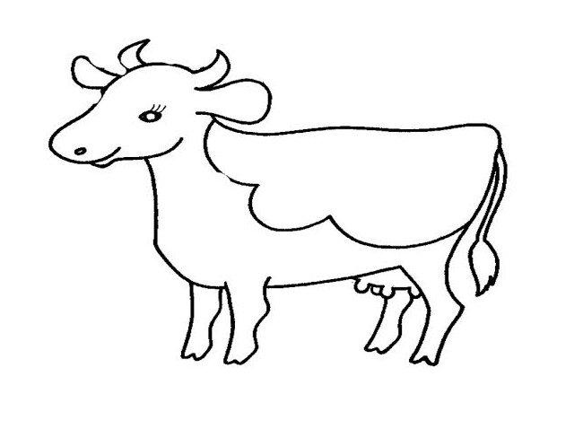 650x478 Cow Template