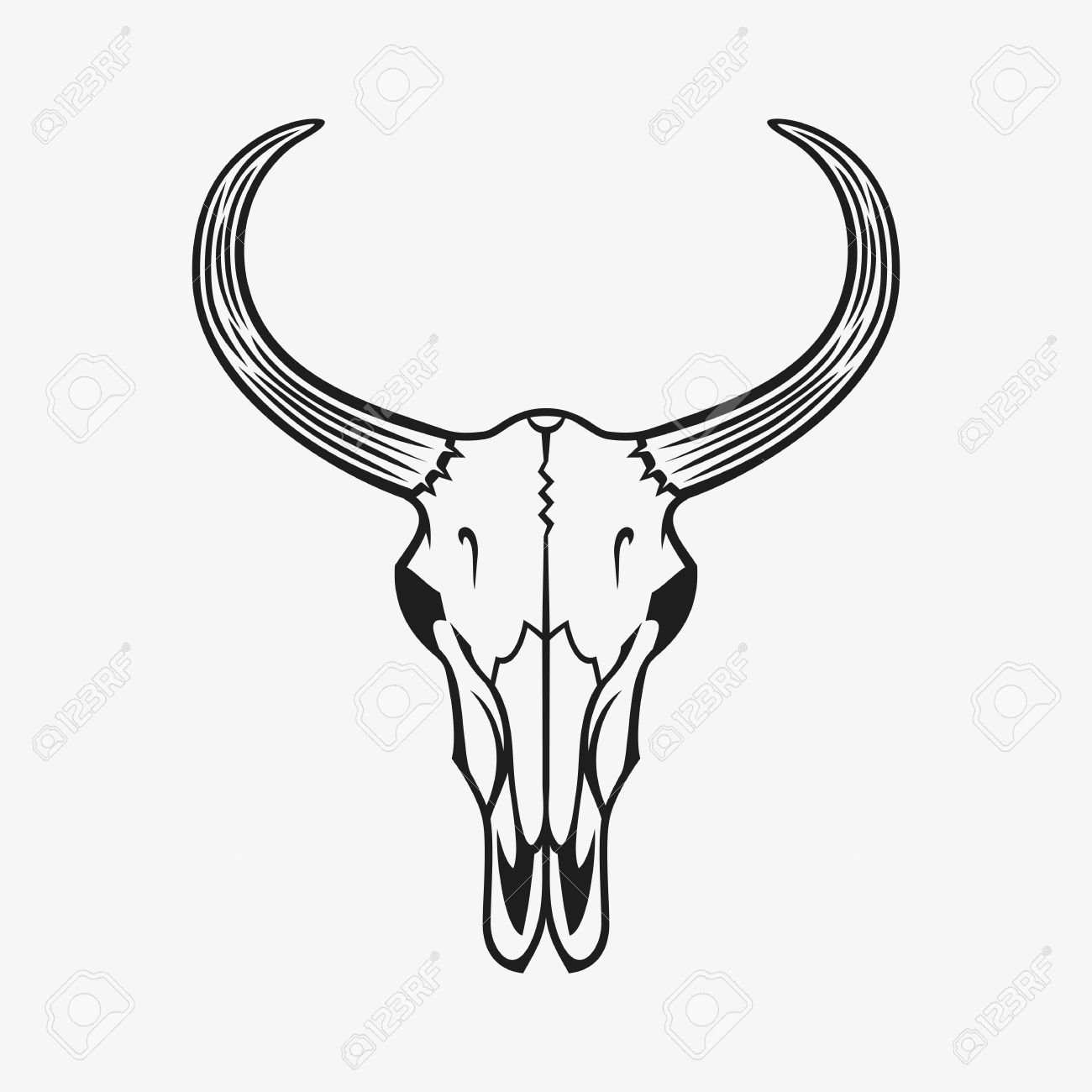 Cattle Skull Drawing at GetDrawings | Free download