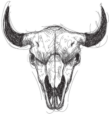 428x450 Cow Skull Drawing Over An Abstract Background. The Artwork