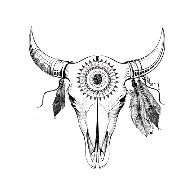 Cattle Skull Drawing at GetDrawings | Free download