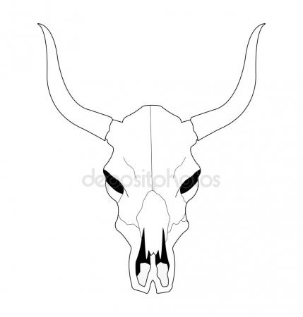 429x450 Cow Skull Stock Vectors, Royalty Free Cow Skull Illustrations