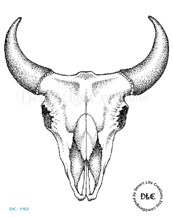 570x713 51 Best Cattle Skulls Images On Fantasy Creatures