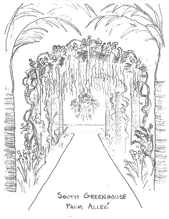 580x751 My Chicago Botanic Garden Tag Archive Orchids