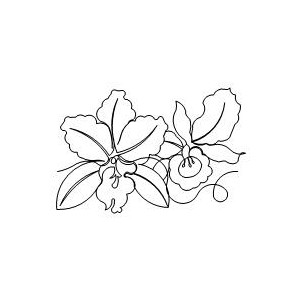 300x300 Orchid Border 001 Sweet Dreams Quilt Studio