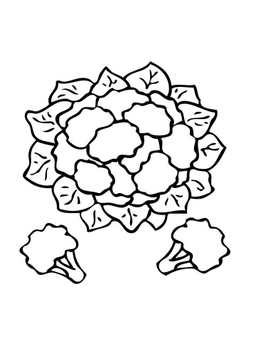 360x480 Cauliflower Coloring Page Free Printable Coloring Pages