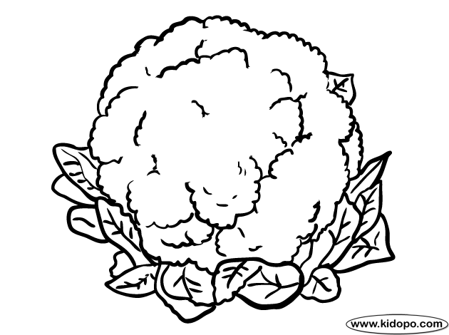 630x470 Cauliflower Coloring Page