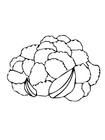 360x480 Cauliflower Coloring Pages Free Coloring Pages