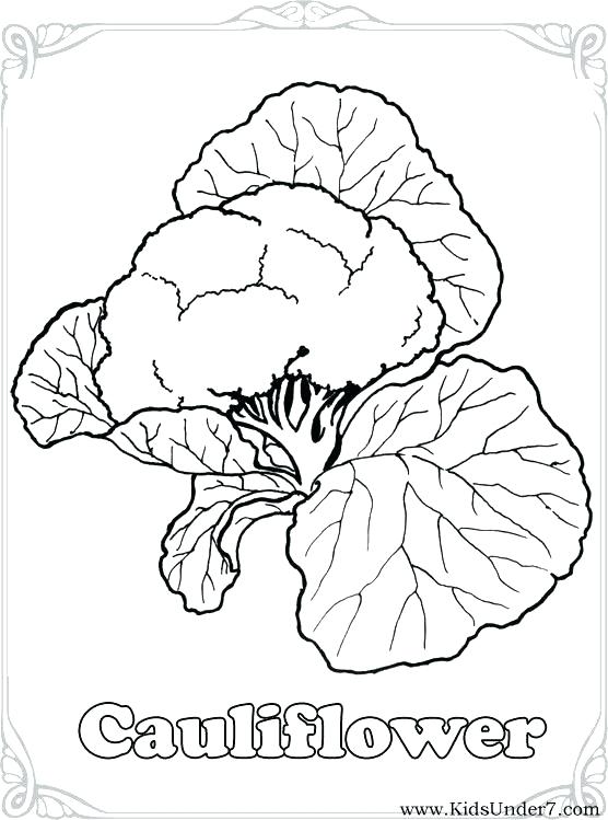 556x749 Coloring Pictures Of Vegetables Vegetables Cauliflower Coloring