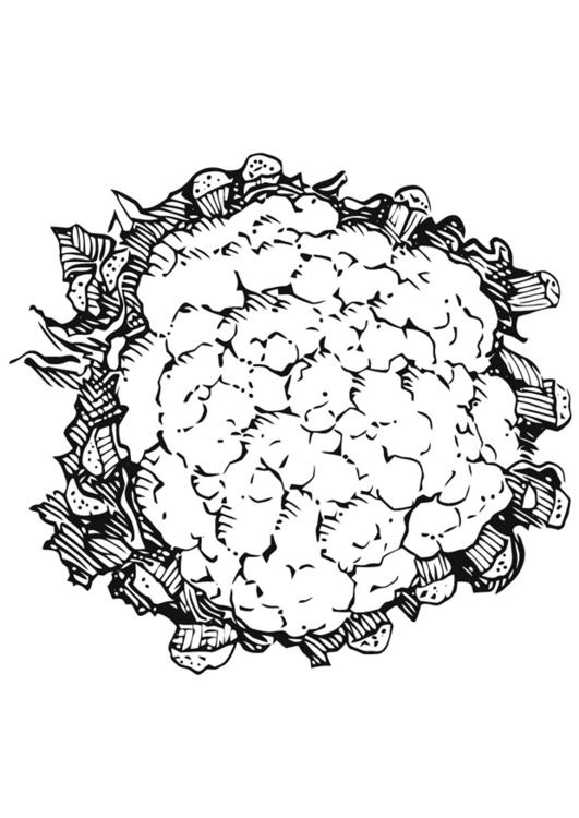 531x750 Coloring Page Cauliflower