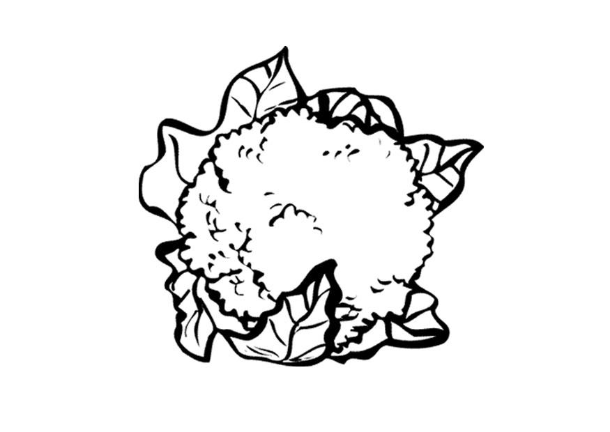 875x620 Coloring Page Cauliflower