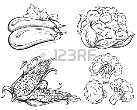 450x364 Hand Drawn Vegetables Set. Cauliflower, Broccoli, Eggplant