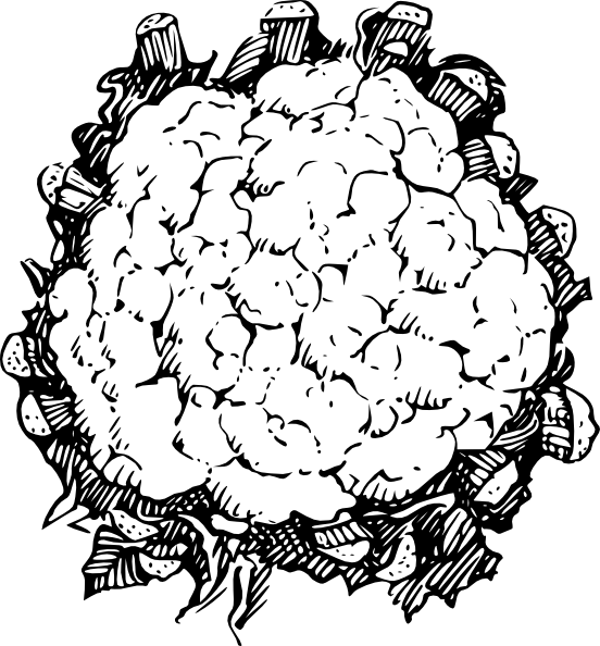 552x594 Cauliflower Clip Art