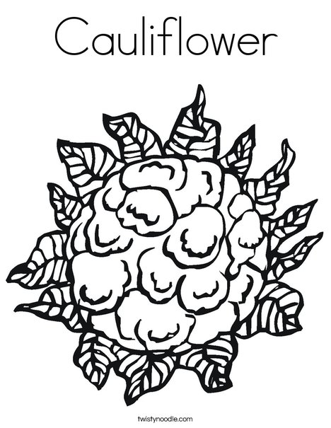 468x605 Cauliflower Coloring Page