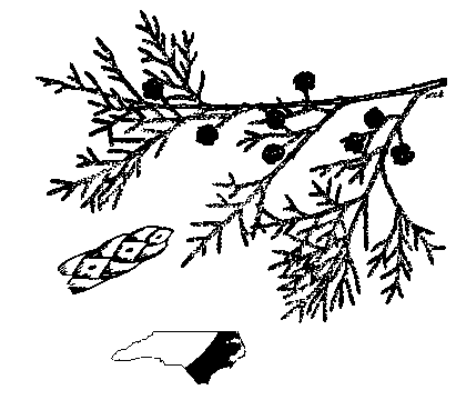 411x360 Plant Information Center